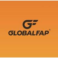 Cascos GLOBAL FAP  GLOBAL FAP