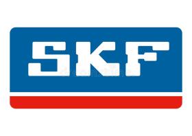 Rodamientos SKF  SKF