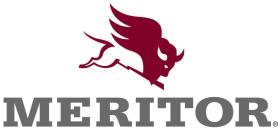 MERITOR ROR 99041035S - *RODAMIENTO INTERIOR ROR